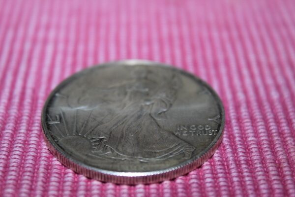 1 dolar – Amerykański Srebrny Orzeł  USA 1995 rok