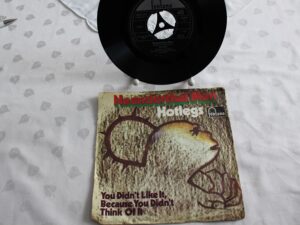 Singles  vinyl Neanderthal Man  Hotlegs  1970