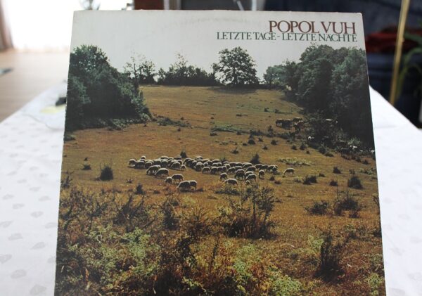 Vinyl  Popol Vuh – Letzte Tage Letzte Nachte LP  1976