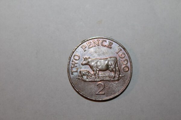 2 Pence  GUERNSEY   Elisabeth II 1990 r