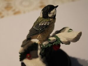 Ptaki Bird Collection Sikora Uboga Tannenmeise Andy Pearce z 2004 r